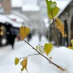 Jutro u BiH sa mrazom, u toku dana u pojedinim dijelovima zemlje moguć i snijeg