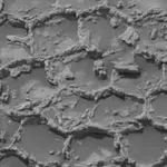 Misterija na Marsu: Curiosity snimio površinu koja izgleda kao džinovsko pčelinje saće