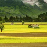 Rastu troškovi, ali proizvođači povrća nemaju izbora: "Sretni smo i s ovim"