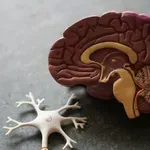 Simptome srčanog i moždanog udara kod žena ponekad ne prepoznaju ni one ni liječnici
