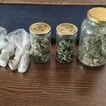 Zagrebačka policija kod Španjolke u koferu na aerodromu pronašla gotovo 15 kilograma marihuane
