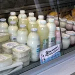 Hoće li i mlijeko poskupjeti? "Štale su prazne, nema više mukanja"