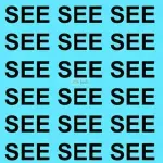 Samo oni s najboljim vidom mogu uočiti riječ "SEA" za 5 sekundi