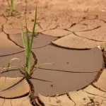 Stručnjaci zabrinuti: Europi ponestaje slatke vode