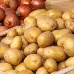 Nedostatni smo u svemu osim pšenice i jabuke, no Dalić "vrlo samouvjerena" oko ove tri kulture