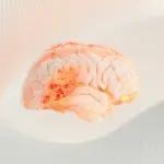 Neurofeedback terapija: Što je, kojim pacijentima koristi i kakvi su rezultati takvog tipa tretmana?