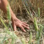 Građani pretrpjeli 343 milijuna eura štete, Vlada pokriva manje od pola posto