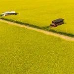 HUP: Sporazum s Mercosurom je rizik za domaću poljoprivredu - nekonkurentni smo