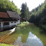 Ovo je udjel turističkih noćenja kontinentalnih županija za 2025.