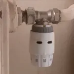 Kako se boriti protiv "tihog ubojice"? Stručnjaci savjetuju građane