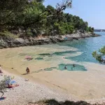 Hrvatski znanstvenici otkrili su što je pokrenulo veliki događaj morske sluzi u Jadranu