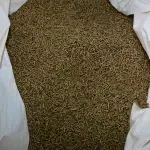 Nestašicu energenta kojim se u Hrvatskoj koristi više od 100.000 kućanstava: Savjetuje se ranija nabava