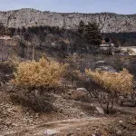 Preminula i peta žrtva požara u Omišu