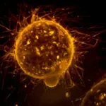 Međunarodni dan borbe protiv raka: Kako spriječiti oboljenje