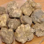 Cijena mu već sad dostiže i do 2500 eura za kilogram, a bit će i još skuplji