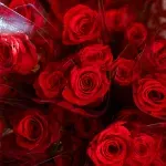 Uoči Valentinova: Buketi idu i do 80 eura, evo koliko su ruže