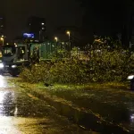 FOTO, VIDEO / Jak vjetar čupa stabla, u Zagrebu crveni meteoalarm. Oglasio se Tomašević