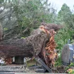 FOTO / Hoće li zagrebačka groblja biti otvorena za Uskrs?