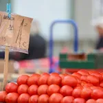 Sve manje krumpira, graška, mrkve... Provjerili smo s kojim smo sve povrtnim kulturama u minusu, a s kojima odlično stojimo