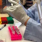 Postoji li dugi hantavirus? Evo kako izgleda život nakon infekcije