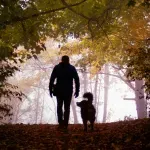 Šetao šumom i pronašao vikinško zlato vrijedno milijune. Umjesto da ga zadrži, učinio je nešto genijalno