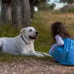 Sedam osobina ljudi koji razgovaraju sa svojim ljubimcima kao s ljudima