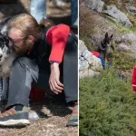 FOTO / Nakon rigoroznih testova HGSS dobio četiri nova K9 tima