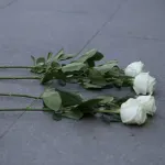 Na zagrebačkom Zrinjevcu odana počast ubijenom Luki Milovcu: Danas on, a sutra tko?