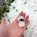 Sloveniju pomelo nevrijeme: Padala tuča veličine oraha, vjetar čupao stabla i krovove
