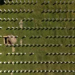 U Federaciji BiH danas je Dan žalosti: U Sarajevu će oglasiti sirene u znak sjećanja na žrtve genocida u Srebrenici