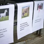 Ministarstvo: Nema govora o sukobu interesa u natječaju za veterinarske poslove