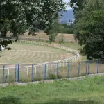 Ravnatelj USO-a: Više radnji za naknadu štete u postupku protiv Eurolex Zaštite