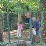 Apel zagrebačkog ZOO-a: Poštujte pravila! Ugrožavate i sebe i životinje