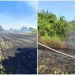 FOTO / Drama na Dalj planini: Vatrogasci potrošili 25 tisuća litara vode u borbi s požarom, gasili vatru četiri sata