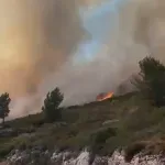 VIDEO / Izbio veliki požar na Hvaru: Vatrogasci vode bitku s vatrom, stigla i dva kanadera
