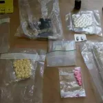 Tijekom festivala kod Slunja zaplijenjeno 124 komada različitih vrsta droga