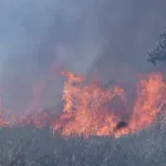 Osumnjičeni za podmetanje 10 požara na zadarskom području u istražnom zatvoru
