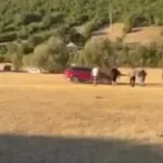 UZNEMIRUJUĆI VIDEO / U Hercegovini se namjerno automobilom zaletio u ljude: Policija traga za vozačem
