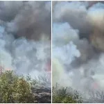 VIDEO / Gori kod Drniša, požar gase vatrogasci i kanaderi