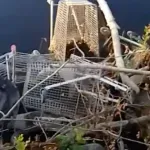 VIDEO / Otkriven divlji deponij uz ZET-ovo okretište. Grad: "Riječ je o organiziranom kriminalu"
