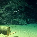 U ocean su bacili 150.000 tona radioaktivnog otpada: Sada se otkrivaju posljedice