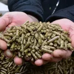 Ogrjevna sezona još nije ni počela, a peleti su već poskupjeli: Vreća i do 7,5 eura