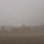 VIDEO / Na Bjelašnici pada prvi ovosezonski snijeg