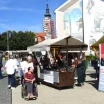Hrvatski grad želi promijeniti županiju koja sadrži njegovo ime: "Mi smo smokvin list"