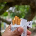 Nikotin i libido: Kako sve vrste cigareta utječu na vašu seksualnu funkciju?
