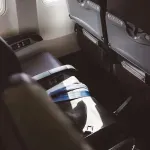 Napastovao 15-godišnjakinju na letu za Zagreb? Pozvala stjuardesu, pokazala joj zaslon mobitela