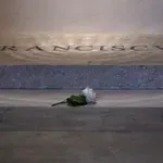 Objavljene fotografije groba pape Franje