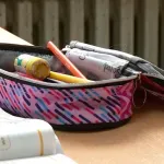 Učenica petog razreda u Čačku donela skalpel u školu, nastavu će ubuduće pratiti na daljinu