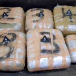 U kolima muškarca u Sremskoj Mitrovici našli kilogram marihuane i uhapsili ga