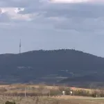 Srbijašume: Sušenje šuma na području Avale, značajno oštećen ekosistem